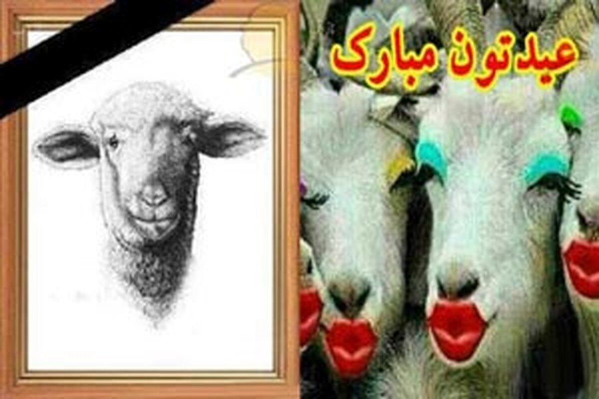 اس ام اس خنده دار