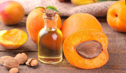 روغن هسته زردآلو؛ شگفتانه طبیعی برای داشتن بدن سالم 