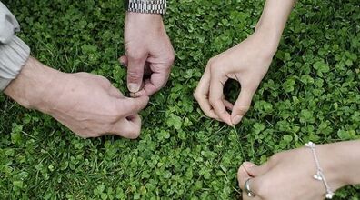  واقعا عدد ۱۳ و «سیزده بدر» نحسن؟ + توضیحات 