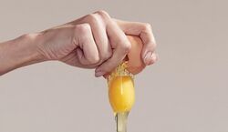 8 ماسک موی خانگی با تخم مرغ | با تخم مرغ؛ موهات رو تقویت کن!