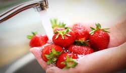 یه عمر توت فرنگی رو اشتباهی میشستی! | 5 روش صحیح و اصولی شستن توت فرنگی + فیلم