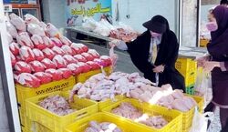  قیمت مرغ در بازار امروز ۱۷ مرداد ۱۴۰۲ اعلام شد + توضیحات 
