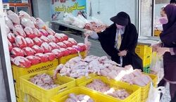 قیمت مرغ بسته بندی امروز 19 آذر چند؟ + جدول